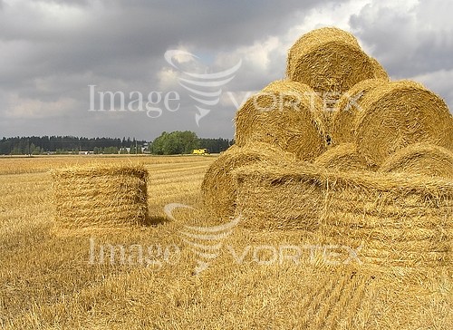 Industry / agriculture royalty free stock image #101184340