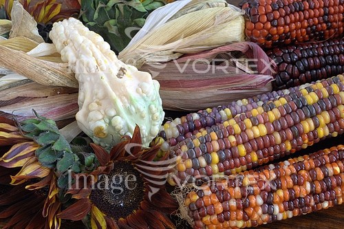 Food / drink royalty free stock image #102312245