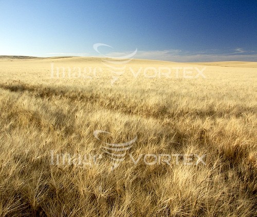 Industry / agriculture royalty free stock image #103921137