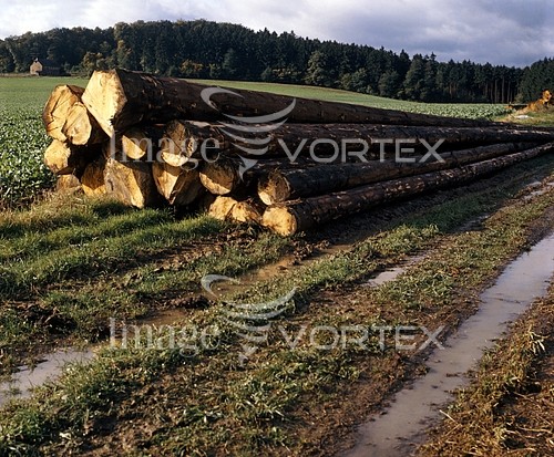 Industry / agriculture royalty free stock image #104749851