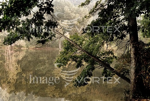 Nature / landscape royalty free stock image #105959393