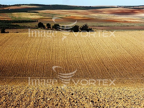 Industry / agriculture royalty free stock image #105037346