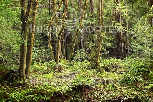 Nature / landscape royalty free stock image #106468508