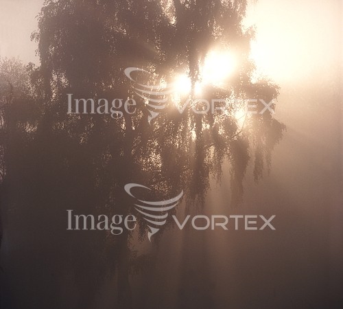 Nature / landscape royalty free stock image #107143843