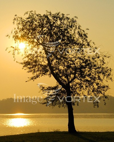Sunset / sunrise royalty free stock image #107839808