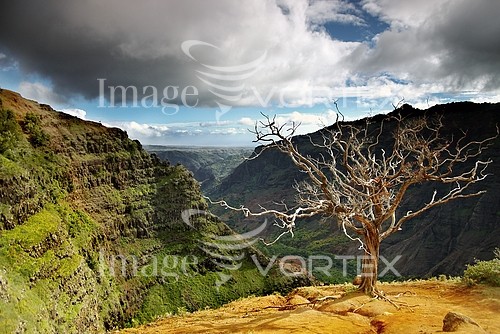 Nature / landscape royalty free stock image #109598558