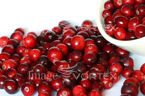 Food / drink royalty free stock image #114091961