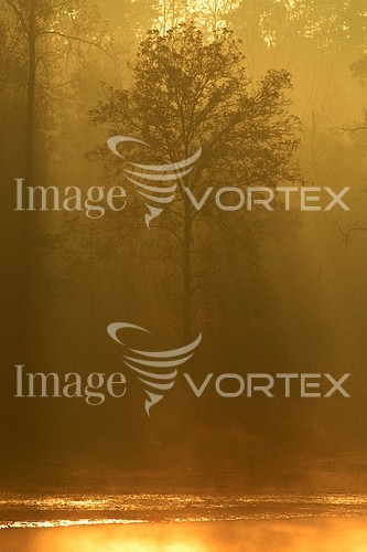 Nature / landscape royalty free stock image #114176876