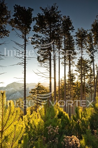 Nature / landscape royalty free stock image #114090180