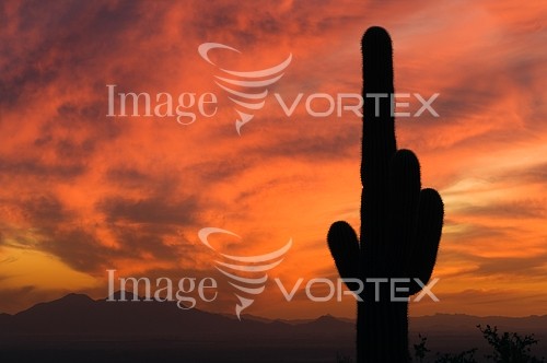 Sunset / sunrise royalty free stock image #116731229