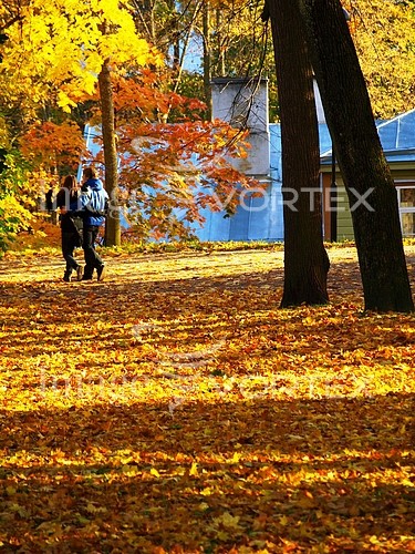 Park / outdoor royalty free stock image #116418818