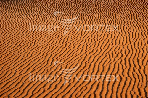 Background / texture royalty free stock image #116848942