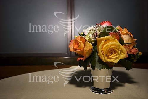 Flower royalty free stock image #118882248