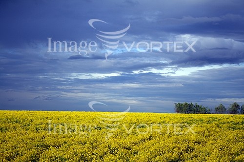 Nature / landscape royalty free stock image #120947834