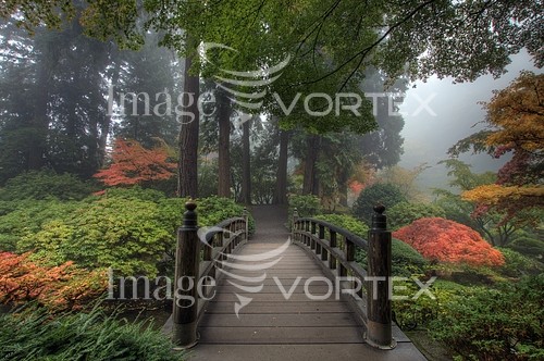 Park / outdoor royalty free stock image #126869630
