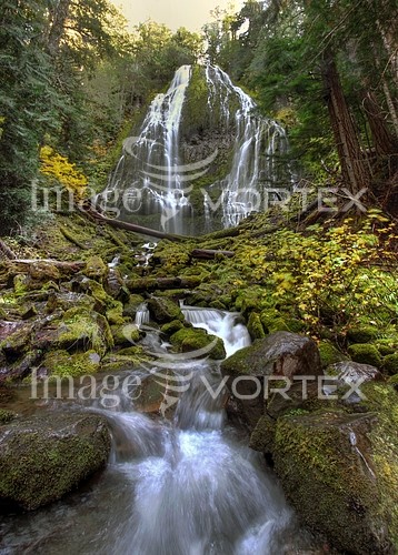 Nature / landscape royalty free stock image #126781834
