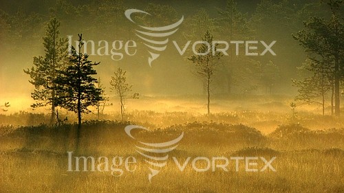 Nature / landscape royalty free stock image #127736539