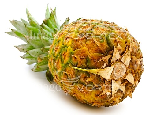 Food / drink royalty free stock image #129520816