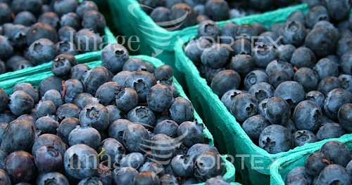 Food / drink royalty free stock image #129514113