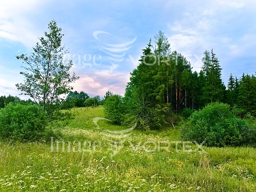 Nature / landscape royalty free stock image #129338575