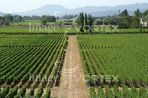 Industry / agriculture royalty free stock image #129953163