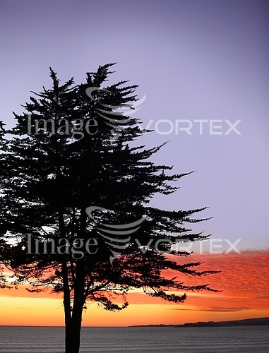 Nature / landscape royalty free stock image #134984373