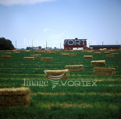 Industry / agriculture royalty free stock image #138950794