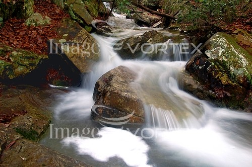 Nature / landscape royalty free stock image #139956253