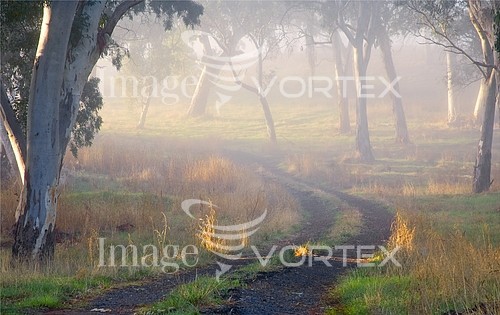 Nature / landscape royalty free stock image #140769401
