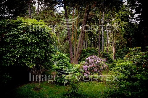 Park / outdoor royalty free stock image #140223866