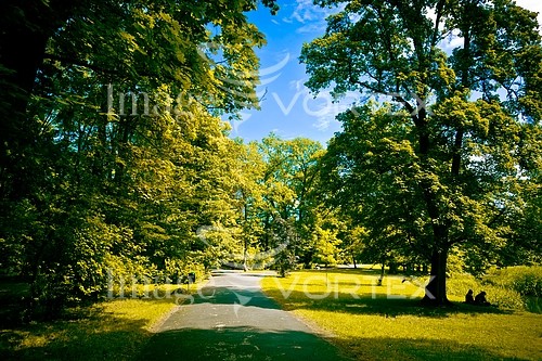 Park / outdoor royalty free stock image #140168370