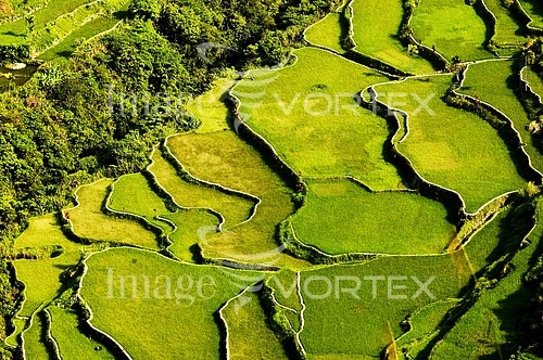 Industry / agriculture royalty free stock image #140979752