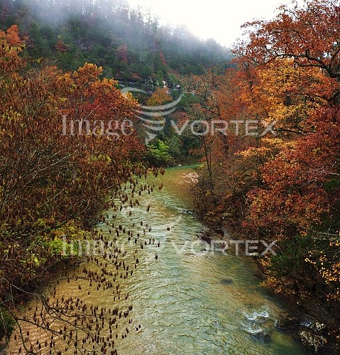 Nature / landscape royalty free stock image #144556579