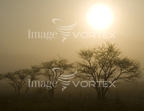Nature / landscape royalty free stock image #144606357
