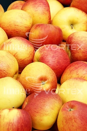 Food / drink royalty free stock image #147342839