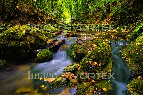 Nature / landscape royalty free stock image #147143904