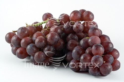 Food / drink royalty free stock image #151881198