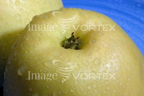 Food / drink royalty free stock image #153426316