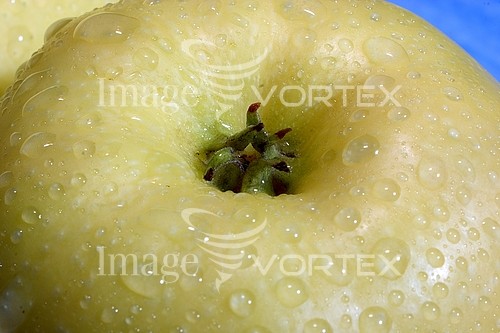 Food / drink royalty free stock image #153430729