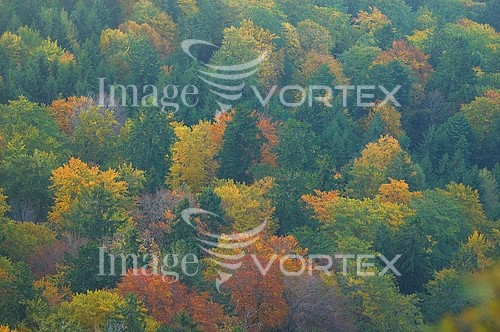 Nature / landscape royalty free stock image #153509371