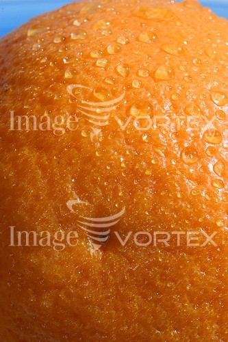 Food / drink royalty free stock image #153384881