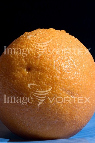 Food / drink royalty free stock image #153396419