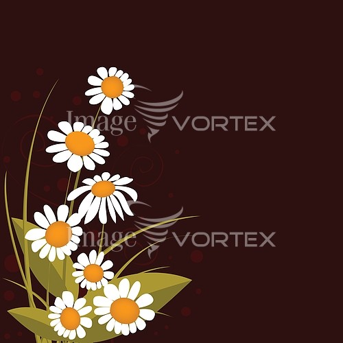 Flower royalty free stock image #157556360