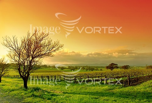 Nature / landscape royalty free stock image #158294942