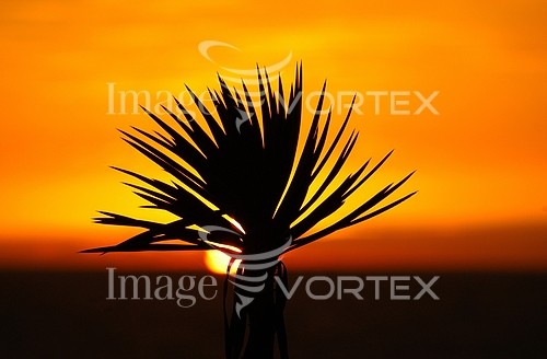 Sunset / sunrise royalty free stock image #158768227