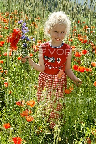 Children / kid royalty free stock image #159113391