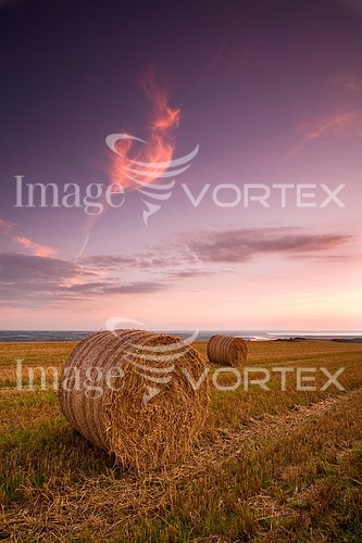Industry / agriculture royalty free stock image #159153530