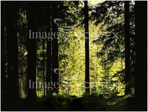 Nature / landscape royalty free stock image #160708749