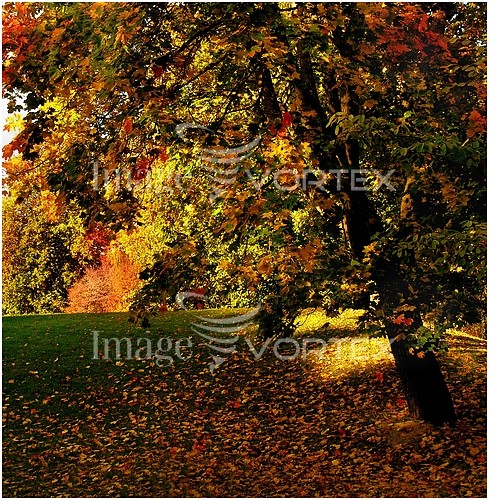 Nature / landscape royalty free stock image #160640038