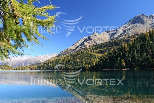 Nature / landscape royalty free stock image #161241966